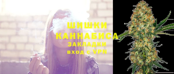 стаф Абинск