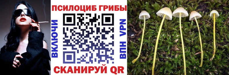 Псилоцибиновые грибы прущие грибы  Грозный 