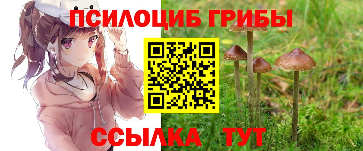 Псилоцибиновые грибы MAGIC MUSHROOMS  Вход с VPN  Грозный 